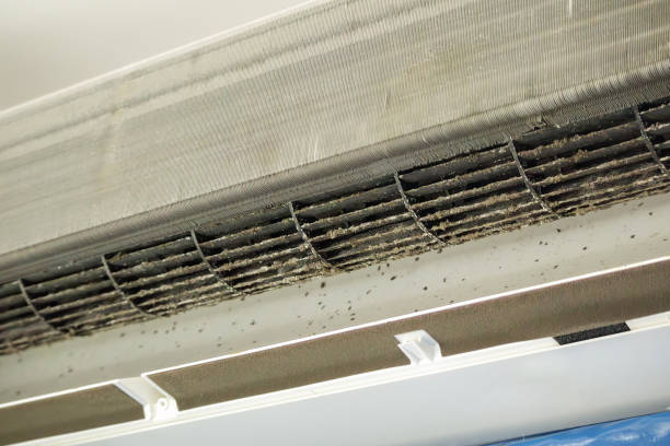 Best Ventilation Cleaning Services  in Grand Ledge, MI